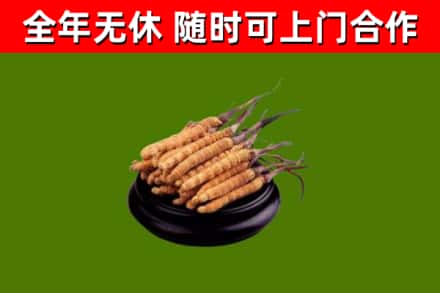 嘉鱼县烟酒回收冬虫夏草.jpg